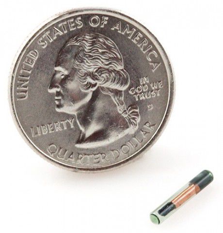 荷兰男子将NFC芯片植入手中 作为比特币离线钱包使用