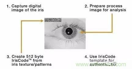 ��������ʶ����ԭ������ȱ���̵�