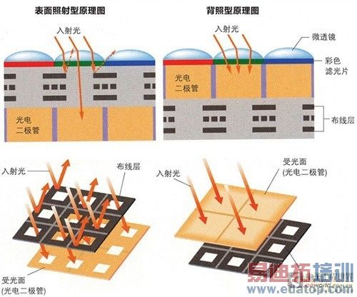 ���޵����ٵ���Խ �����ֻ���ͷ��Щ�� 