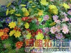 ����200�ĺ�˫��С���� ����I8552���� 