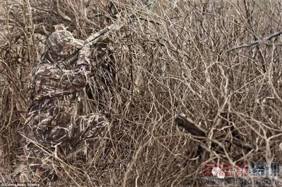 ���㿴�����ĵط�--��������Ϳ�ϵķ����Ӧ��