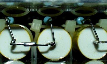 ��˹����Ȧ������