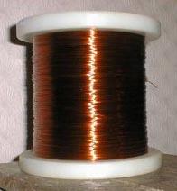 ��˹����Ȧ������