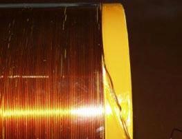 ��˹����Ȧ������