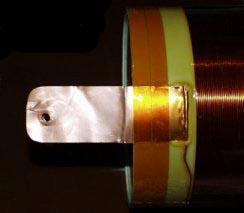 ��˹����Ȧ������