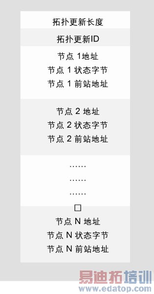图4、网络拓扑更新消息结构