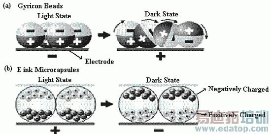 ���ֽӡˢ������e-paper����ֽ�ż���ǰհ