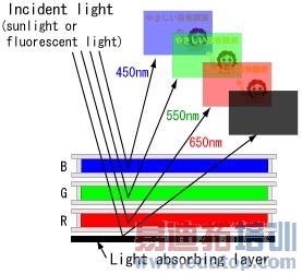 ���ֽӡˢ������e-paper����ֽ�ż���ǰհ