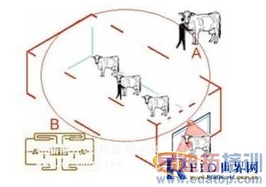 RFID����Ϣ��ͨ�ż���(ICT)����������������(IoT)������