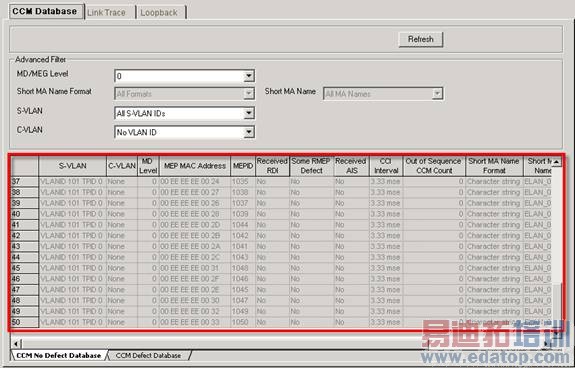 IEEE 802.1ag CFM���Ͳ���Ҫ��