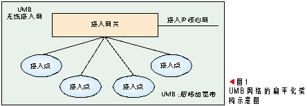 ���ƶ��������߽��뼼����UWB������ܹ�����