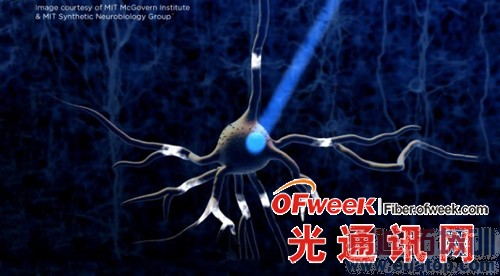 ���Ŵ�ѧ����