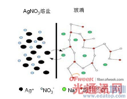 ���������ӽ�������ԭ��ͼ(��Ag+-Na+����Ϊ��)