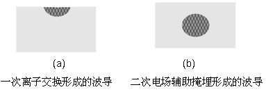 ���ֳ��������ӽ������γɵĲ���