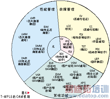 支持CE的T-MPLS关键技术及应用