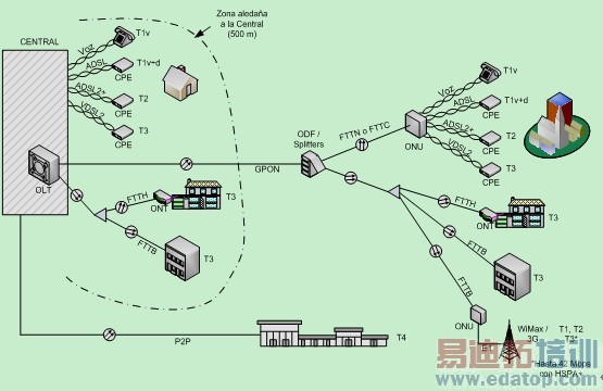 ���й��������˽ṹ