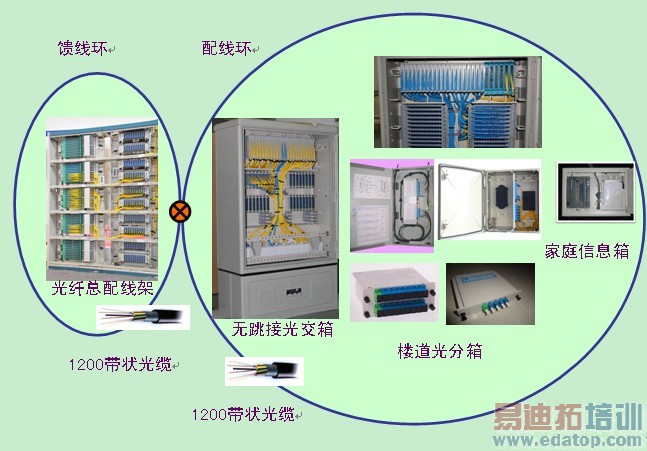 ���й��������˽ṹ