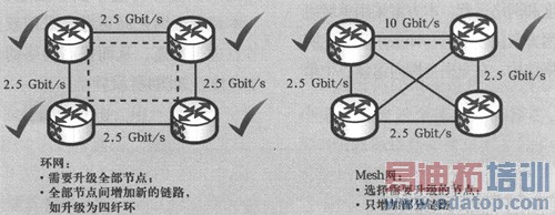 �Զ����������磨ASON��������Ƶ�̽��