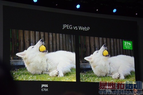 �ȸ迪���ߴ��