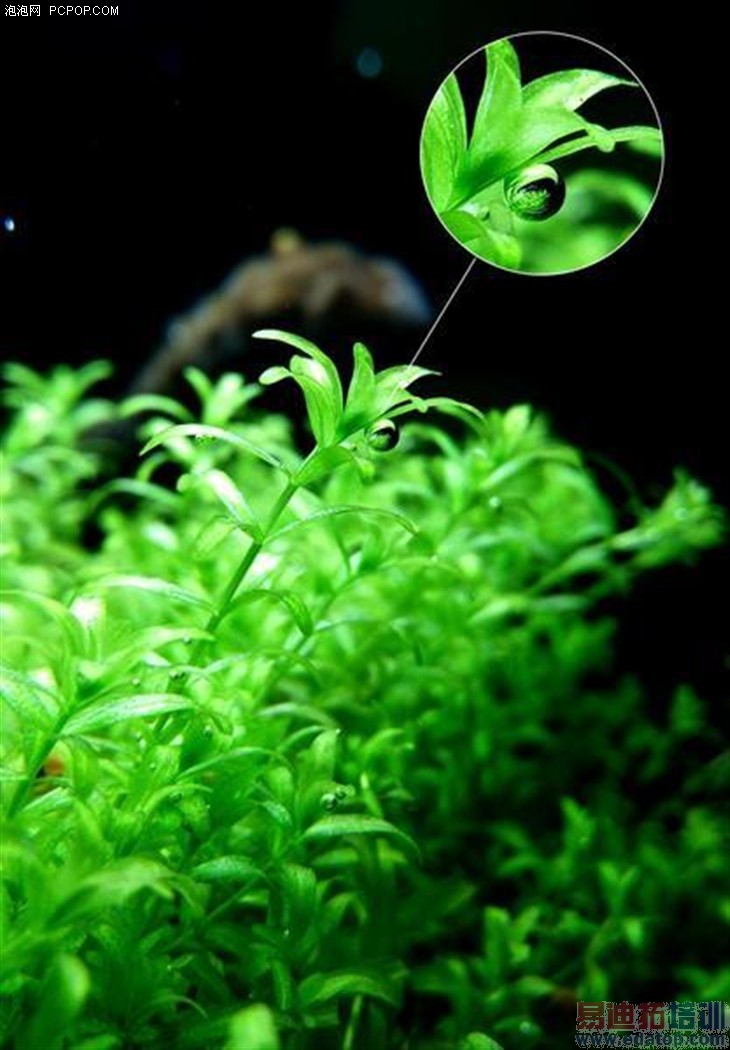 ����Ϊ������� ���VOGA V1�������� 