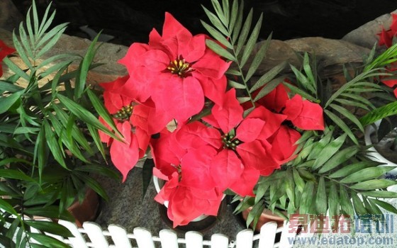 1600������ȫ��ͨ�콢 �������3���� 