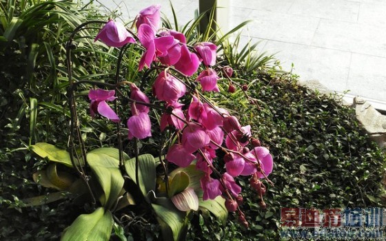 1600������ȫ��ͨ�콢 �������3���� 