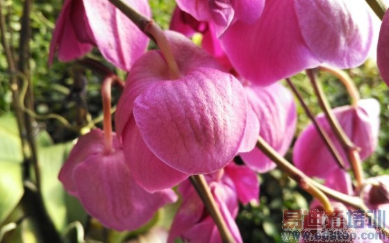 1600������ȫ��ͨ�콢 �������3���� 