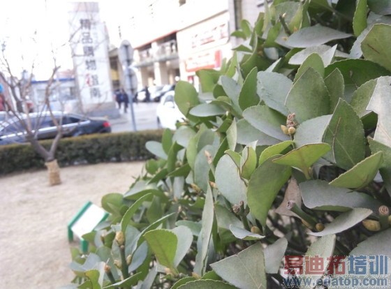 �۲�300��ѡ˭������Note�Ա������ֻ�(4)