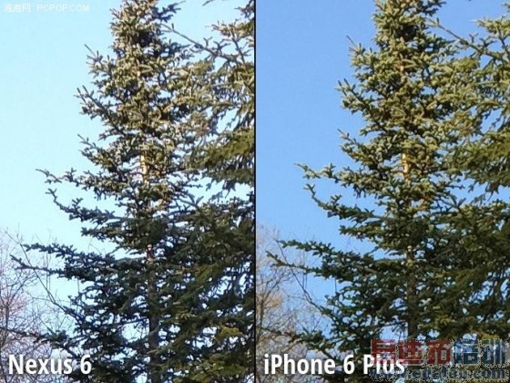 Moto Nexus 6/iPhone 6 Plus拍照对比