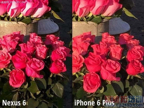 Moto Nexus 6/iPhone 6 Plus拍照对比
