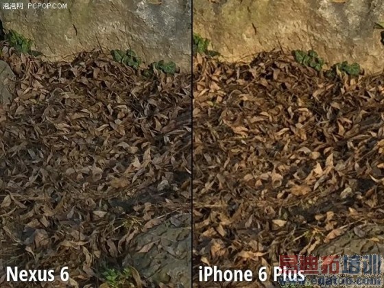 Moto Nexus 6/iPhone 6 Plus拍照对比