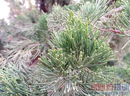 100Ԫ����ж�� ����note�ԱȺ���Note 