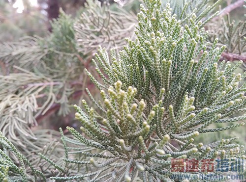 100Ԫ����ж�� ����note�ԱȺ���Note 