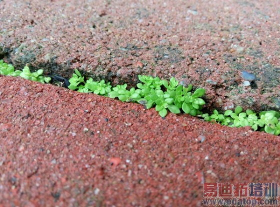 800����ѡ��̨����Note�Ա�����MX4