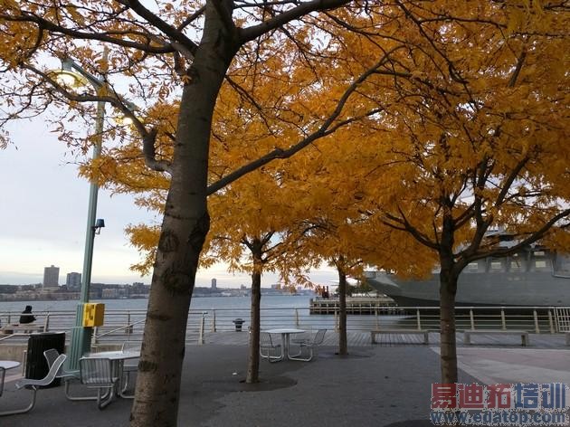 �ȸ�Nexus 6���⣺һ���д����Ƶľ����ֻ�