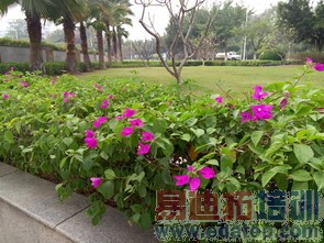 ָ��ʶ������ƻ������MX4Pro�������