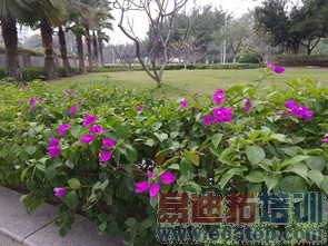 ָ��ʶ������ƻ������MX4Pro�������