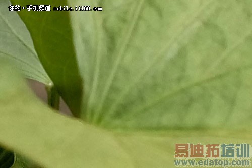 优化拍照提升速度 魅族MX4新旧固件对比