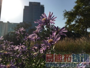 比更大更强大! 三星Edge对比iPhone 6