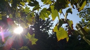 比更大更强大! 三星Edge对比iPhone 6