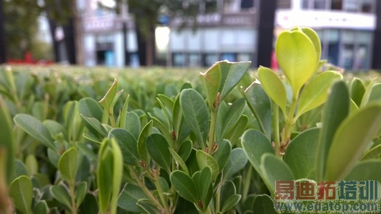 WP8.1�콢�ֻ�ŵ����Lumia930����