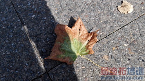 6Ӣ������˼�˺�4G˫�� ��ΪMate7���� 