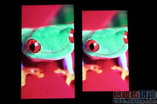 ƻ��iPhone 6���������׷�����iphone6