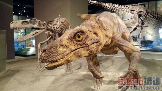 ʵ������