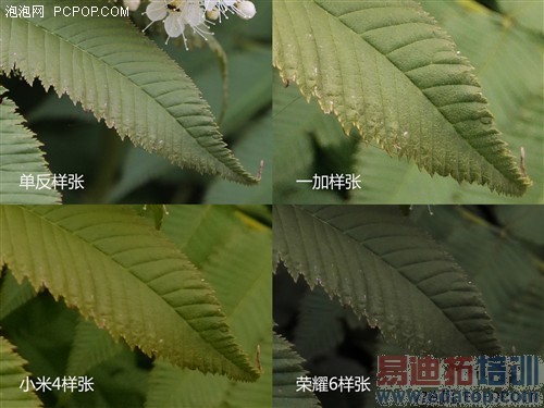 һ��/С���ֻ�4/��ҫ6��ȫ��Ա����� 