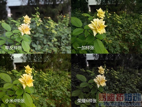 һ��/С���ֻ�4/��ҫ6��ȫ��Ա����� 