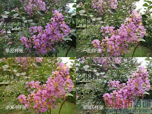 һ��/С���ֻ�4/��ҫ6��ȫ��Ա����� 