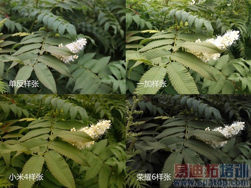 һ��/С���ֻ�4/��ҫ6��ȫ��Ա����� 