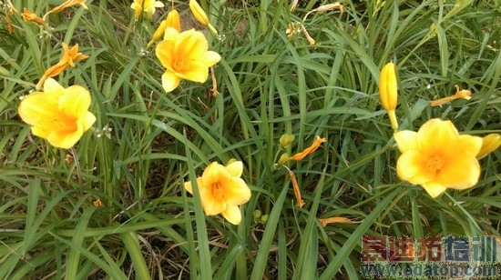 双弧线背部塑料机身HTCOne时尚版评测(3)