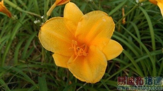 双弧线背部塑料机身HTCOne时尚版评测(3)